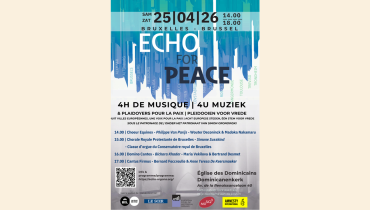 Echo for Peace, concerts et plaidoyers